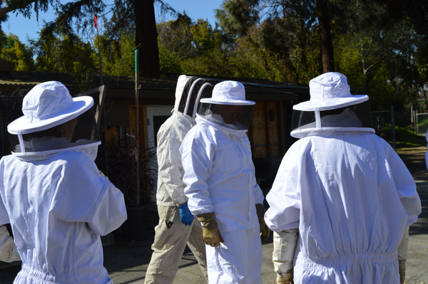 Beekeeping Experience: Private Hive Tour & 'Money Shot' Photos