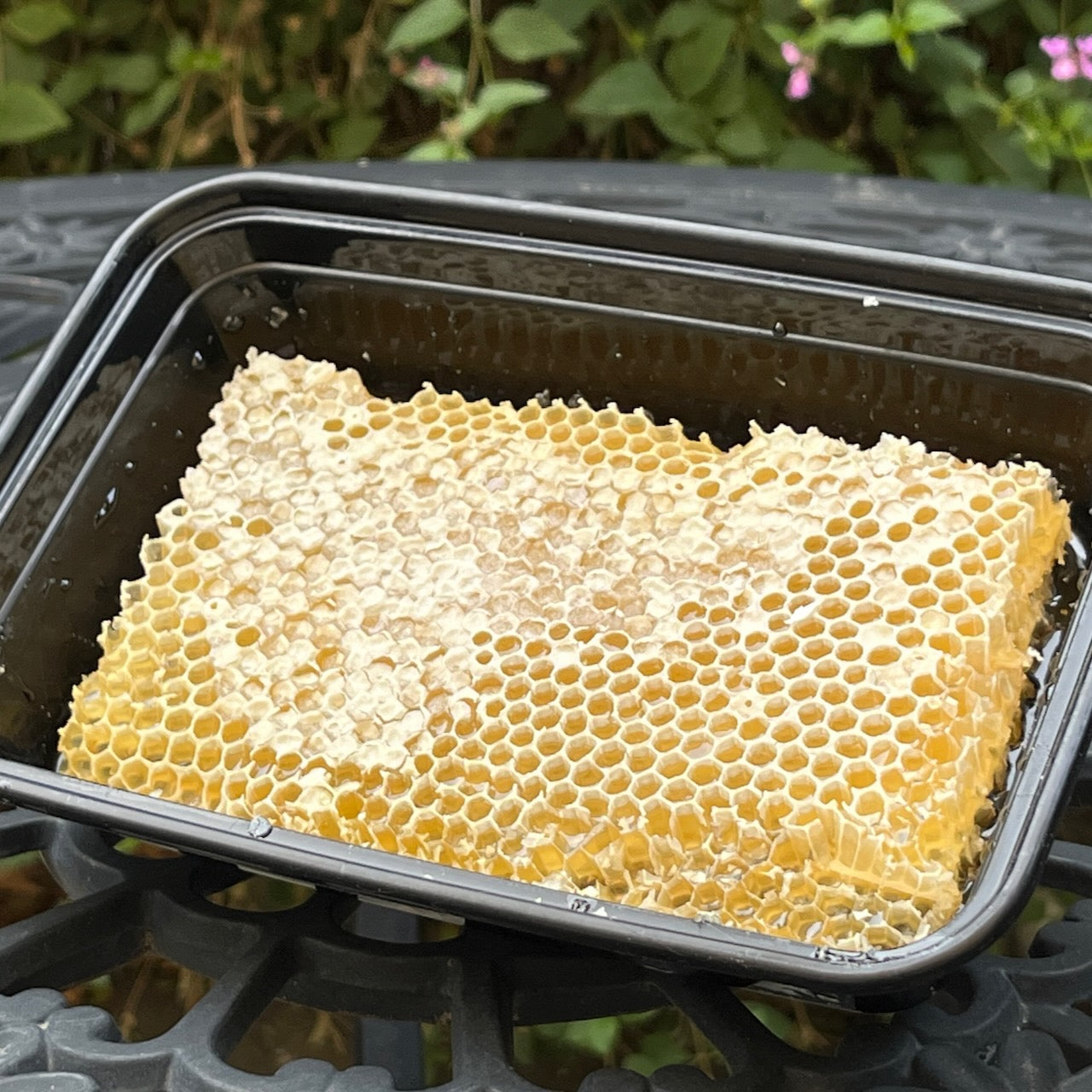 Beeswax