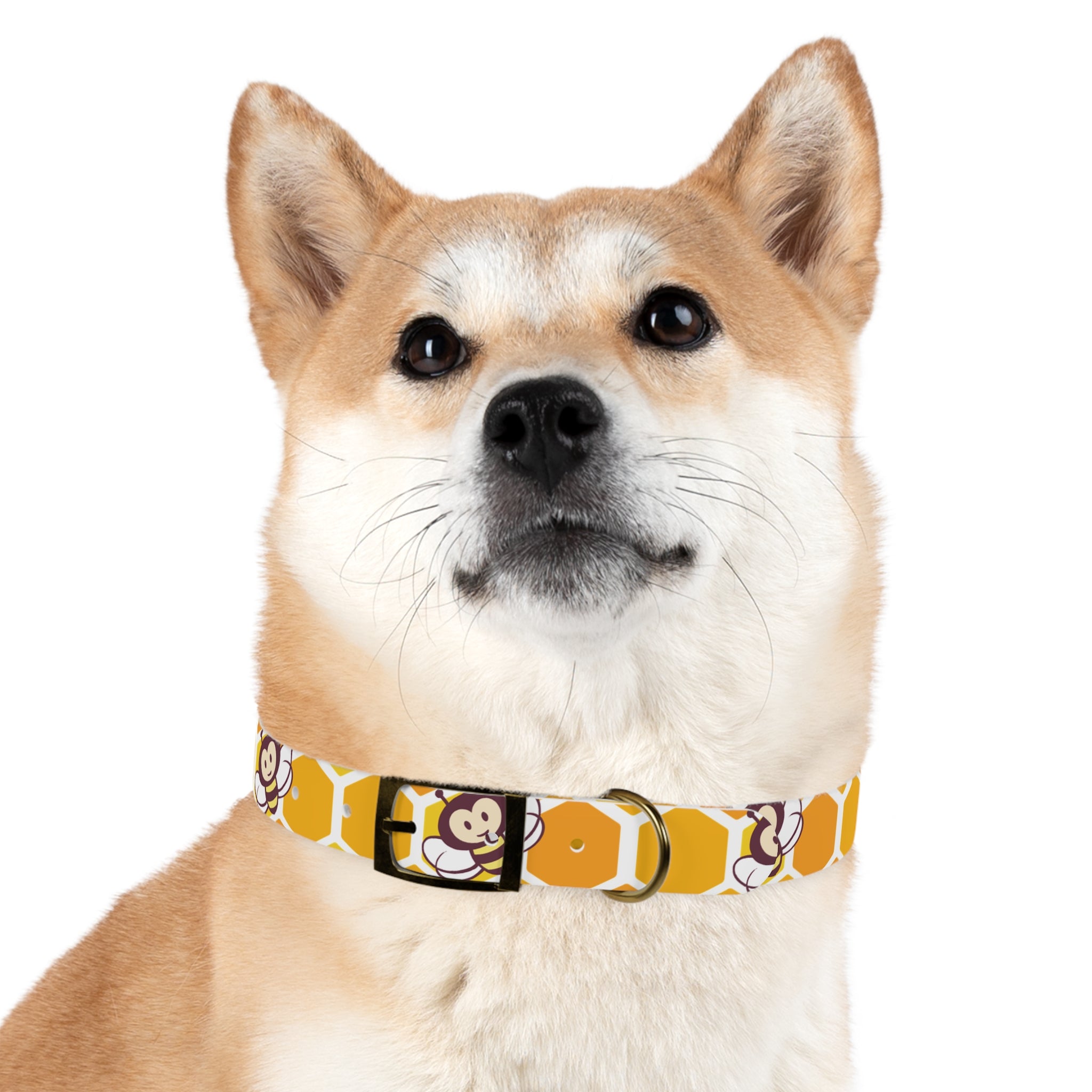 Dog Collar - Mike & Niki's Honey Fans Bee Stylish Collar