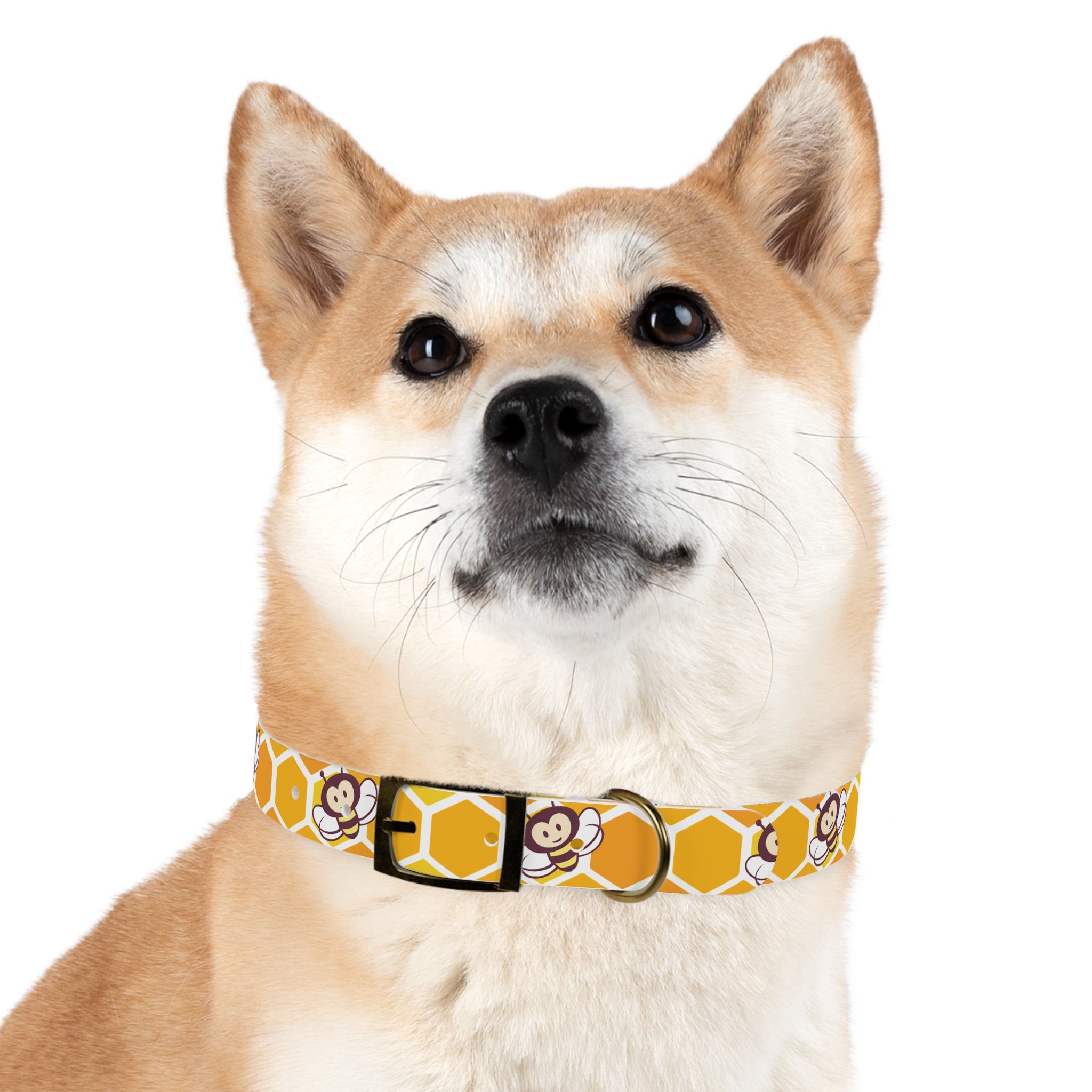 Dog Collar - Mike & Niki's Honey Fans Bee Stylish Collar