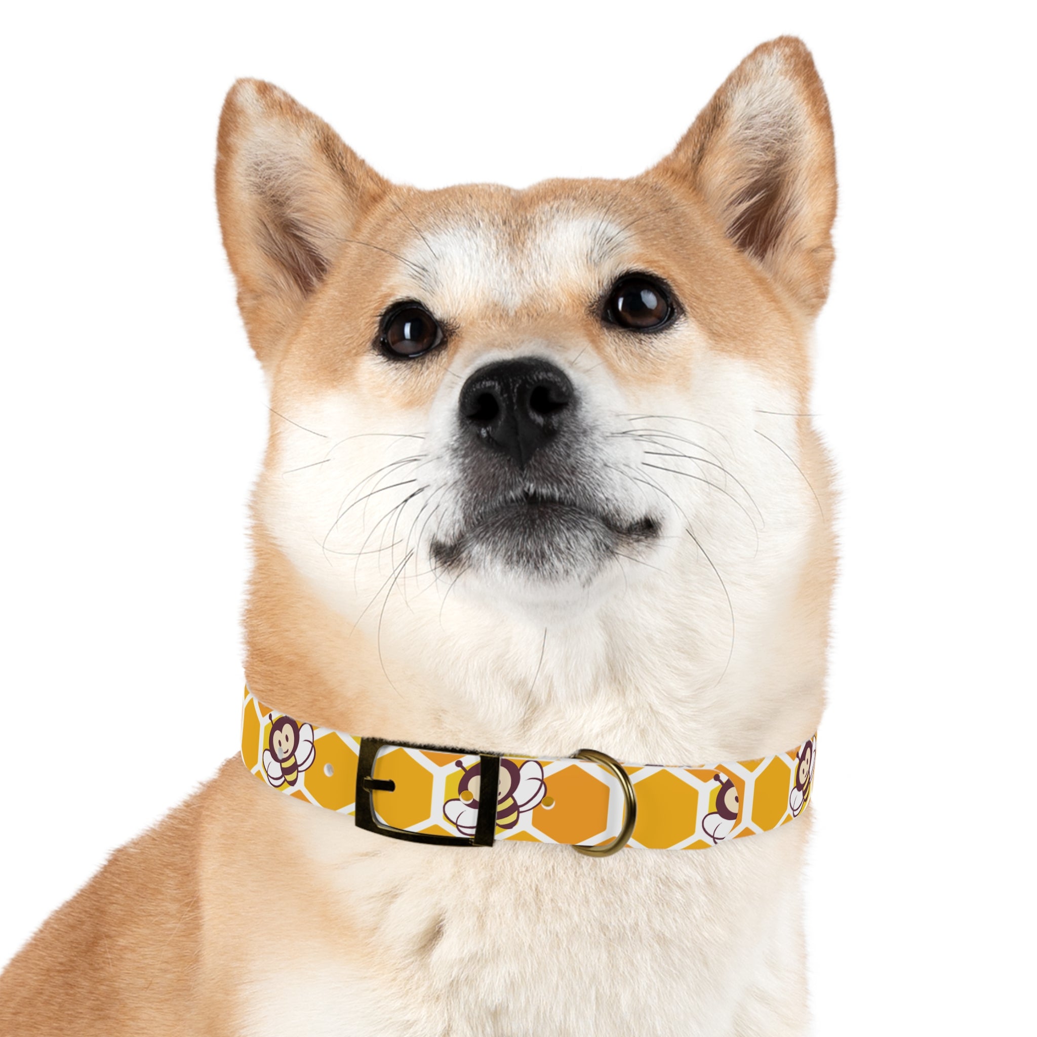 Dog Collar - Mike & Niki's Honey Fans Bee Stylish Collar