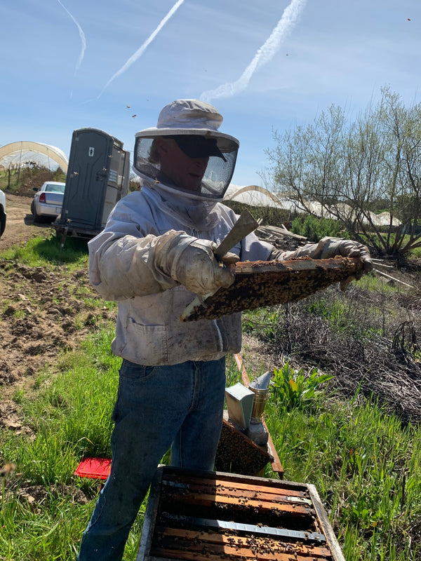 Beekeeping Experience: Private Hive Tour & 'Money Shot' Photos