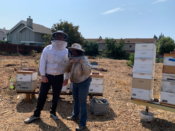 Beekeeping Experience: Private Hive Tour & 'Money Shot' Photos