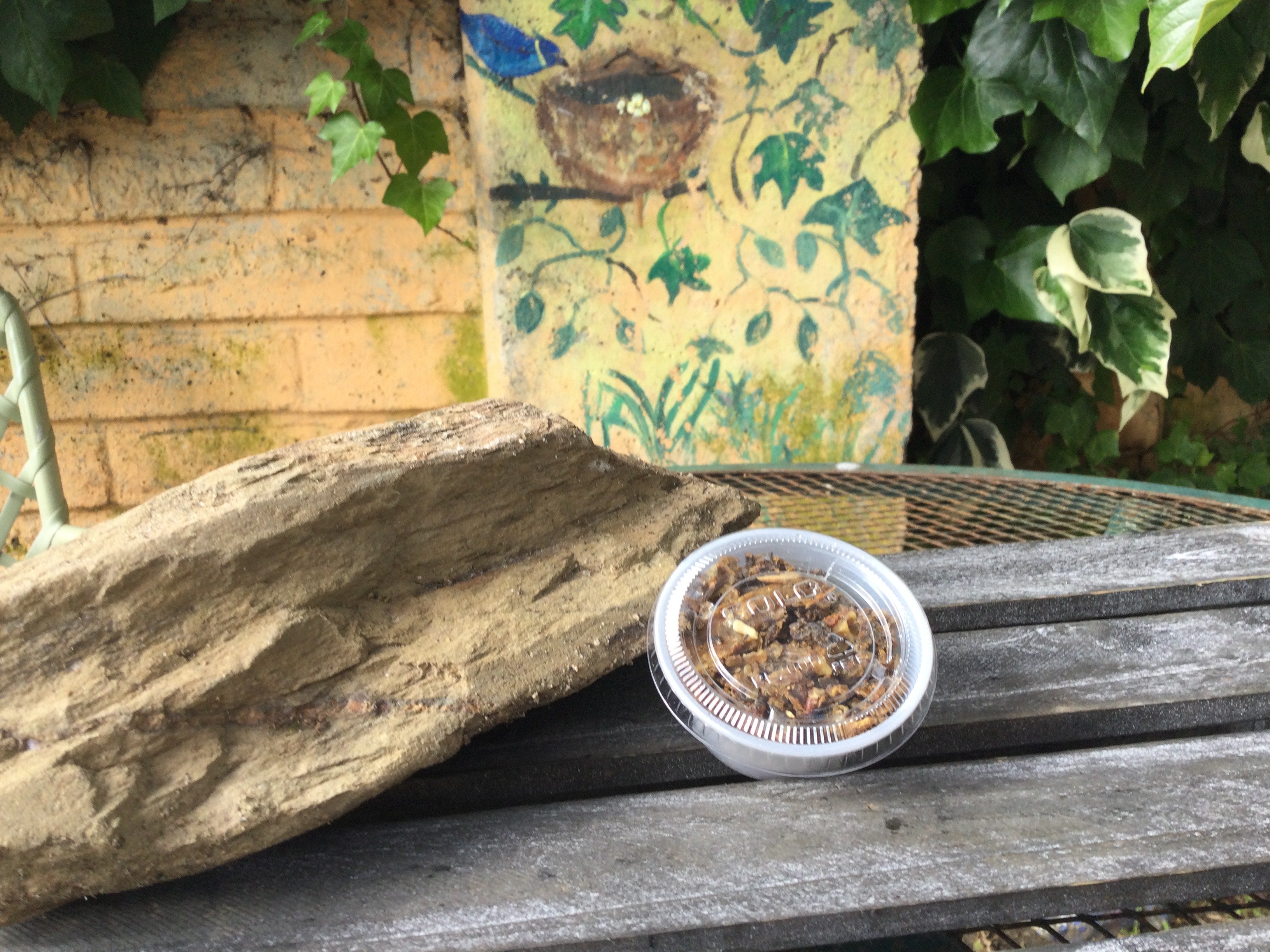 Rustic & Raw Propolis – 3/4 oz Plastic Cup