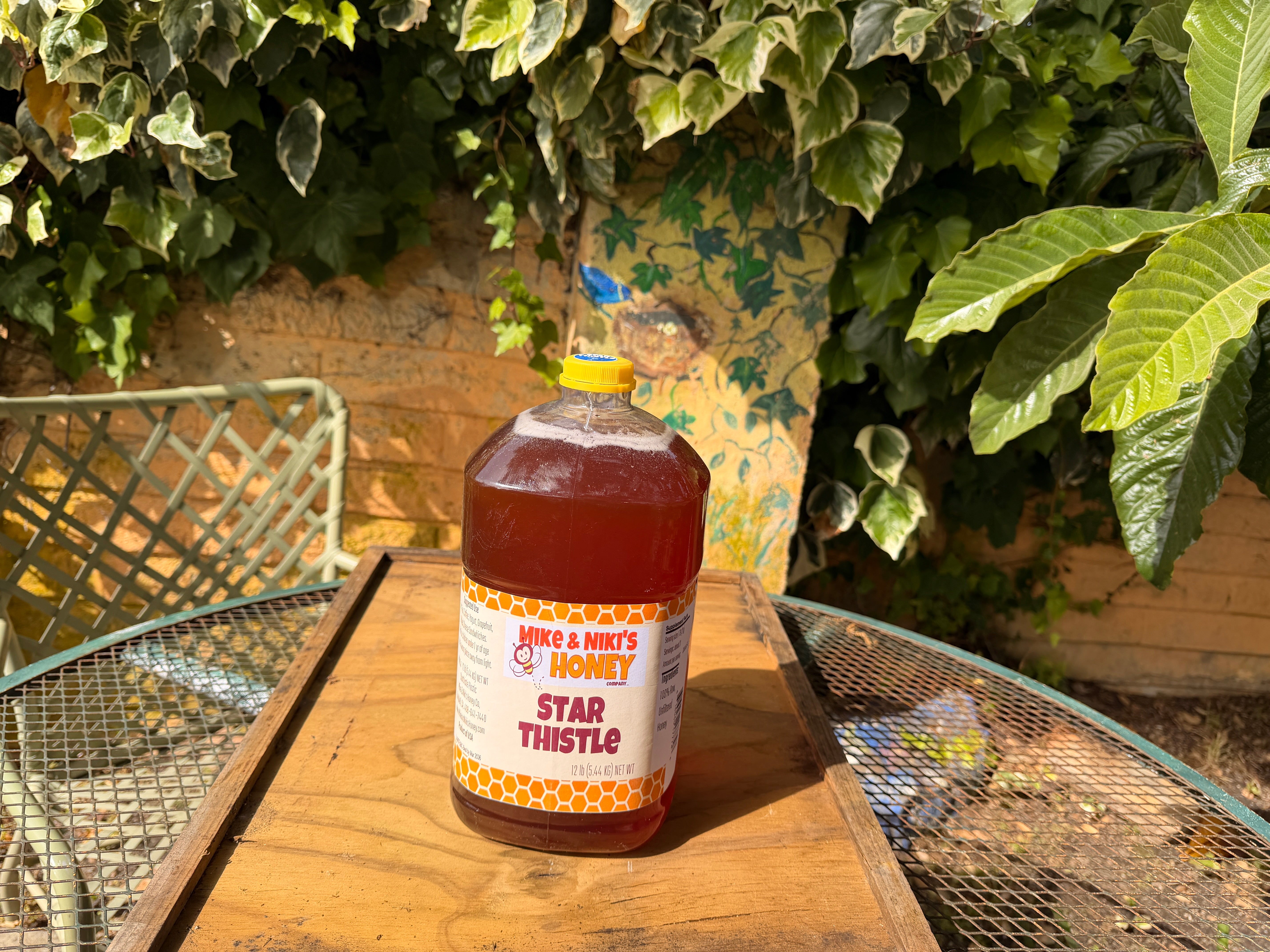 Starthistle Honey squeeze bottle dark background